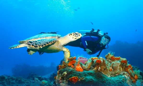 Experience Bali's Relaxed Dive Atmosphere